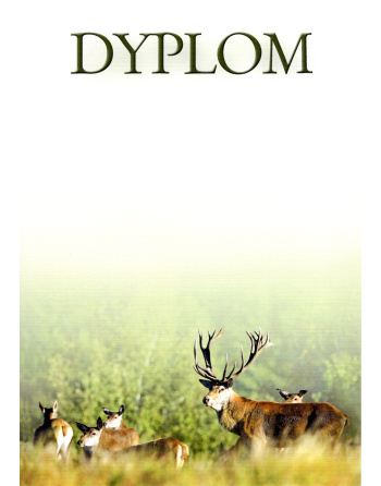 Dyplom „V”