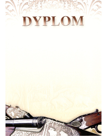 Dyplom „IV”