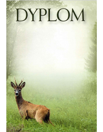 Dyplom "XXI"