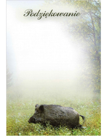 Dyplom „I”