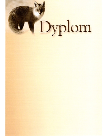 Dyplom "XIX"