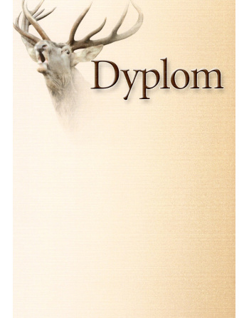 Dyplom "XVI"