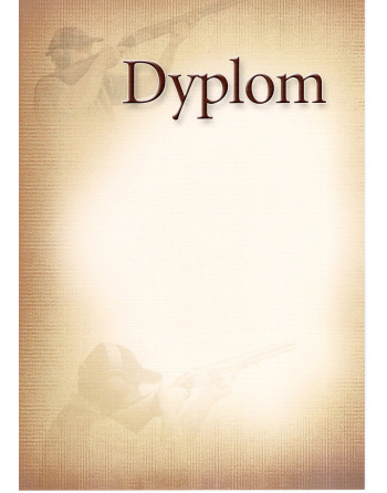 Dyplom "VIII"