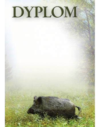 Dyplom "XXIII"