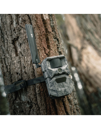 Kamera fotopułapka HIKMICRO T16