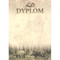 Dyplom "VII"