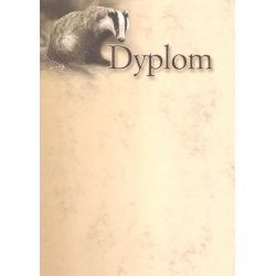 Dyplom "XVIII"