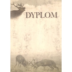 Dyplom "XX"