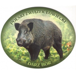 NZ-11