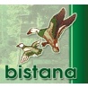 Bistana